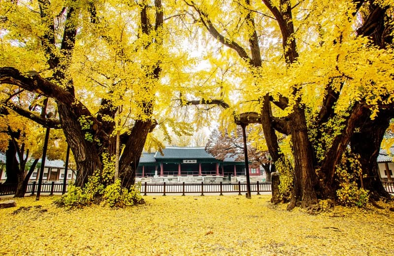 Image source|온라인 커뮤니티
