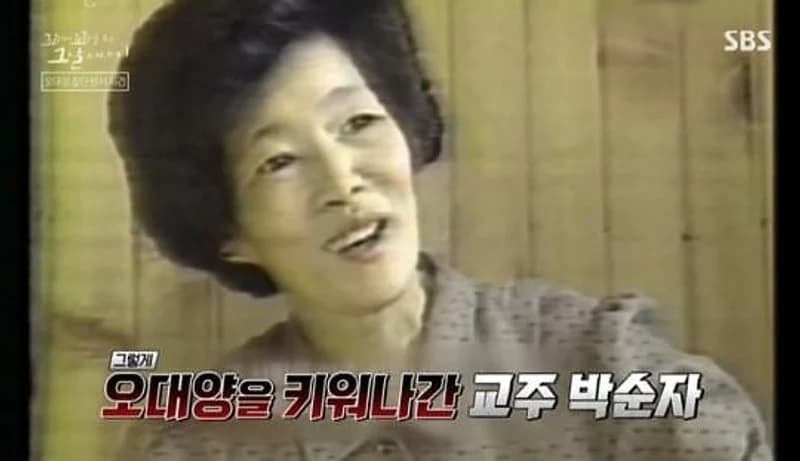 image source|SBS