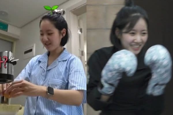 登大人!《我獨》陳智熙獨居小屋首公開!以色列搏擊技巧讓全員都感嘆!