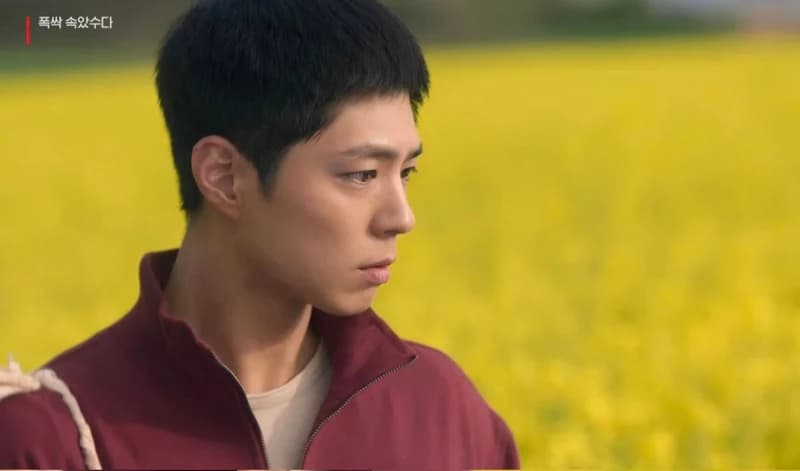 圖片來源:Netflix《苦盡柑來遇見你》