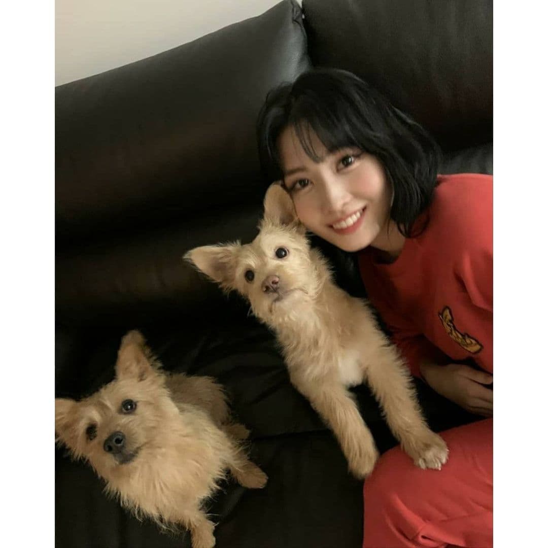 Image Source_Instagram | twicetagram