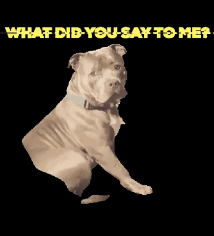 image source_giphy