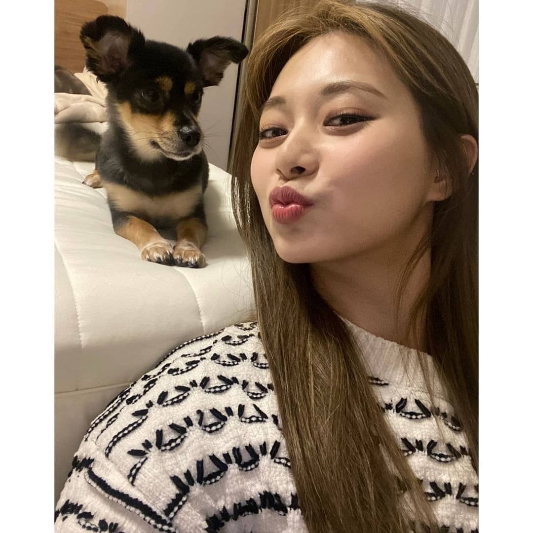 Image Source instagram | twicetagram