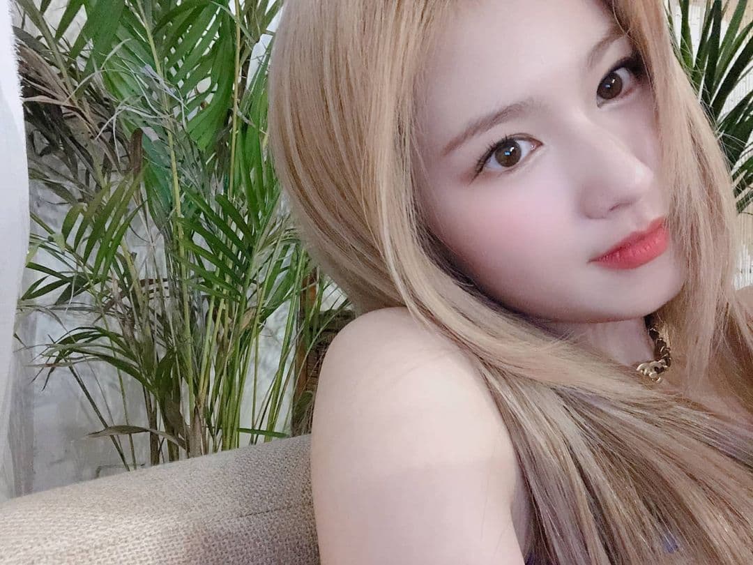 Image Source_Instagram | twicetagram