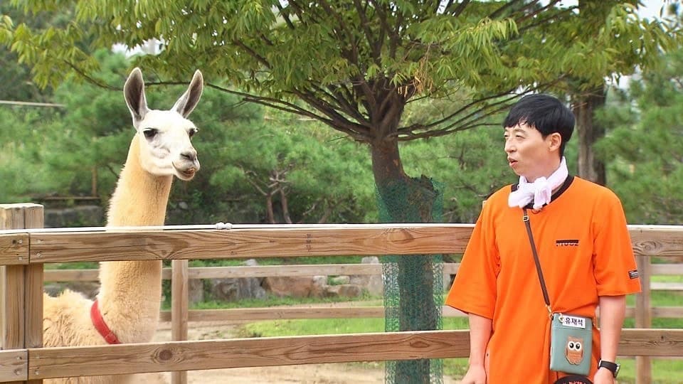 Image Source_Instagram | sbs_runningman_sbs