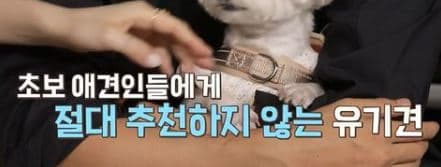 image source_온라인 커뮤니티