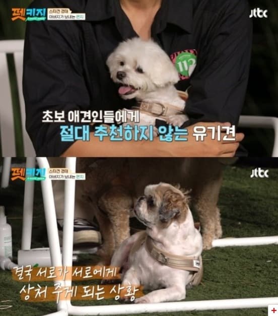 image source_온라인 커뮤니티