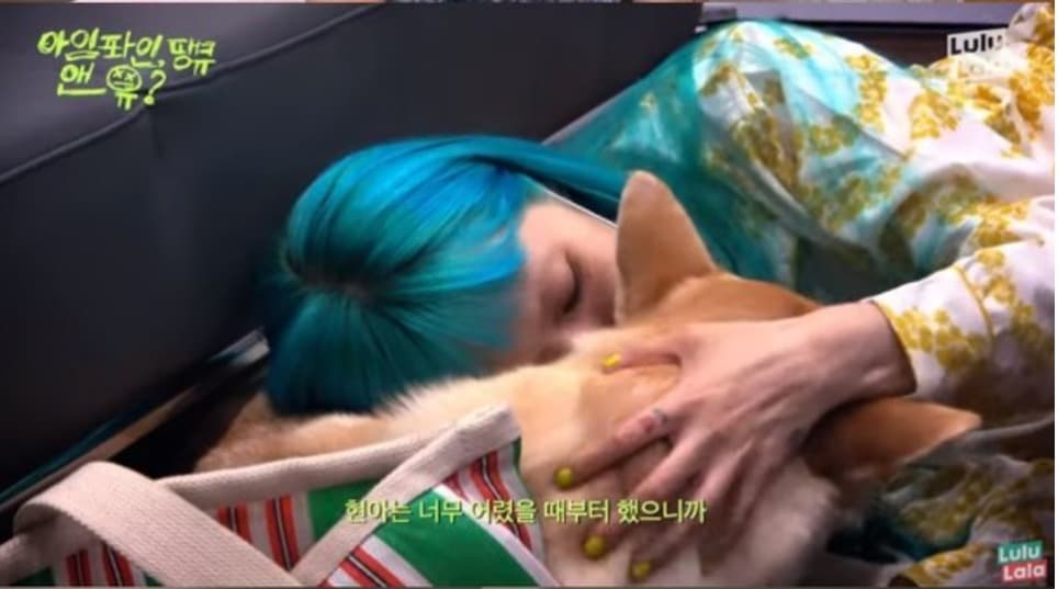 image source_온라인 커뮤니티