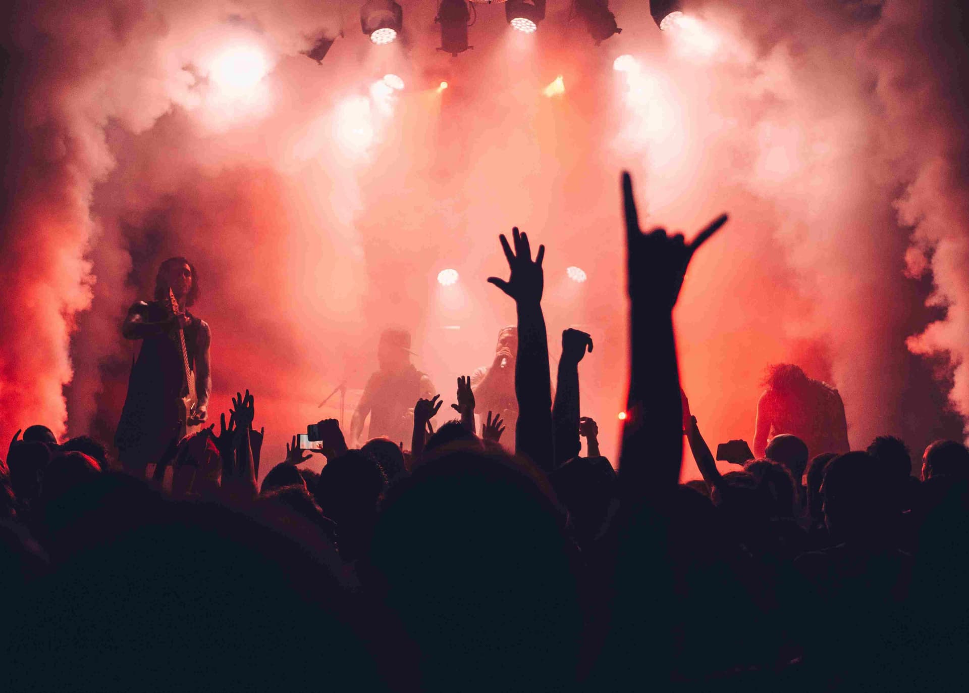 Image Source | pexels