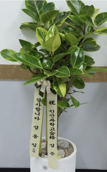 Image Source | 온라인 커뮤니티