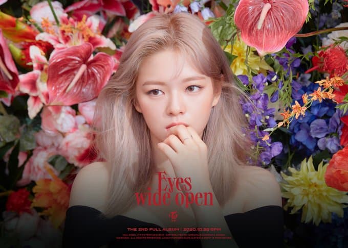 Image Source instagram | twicetagram