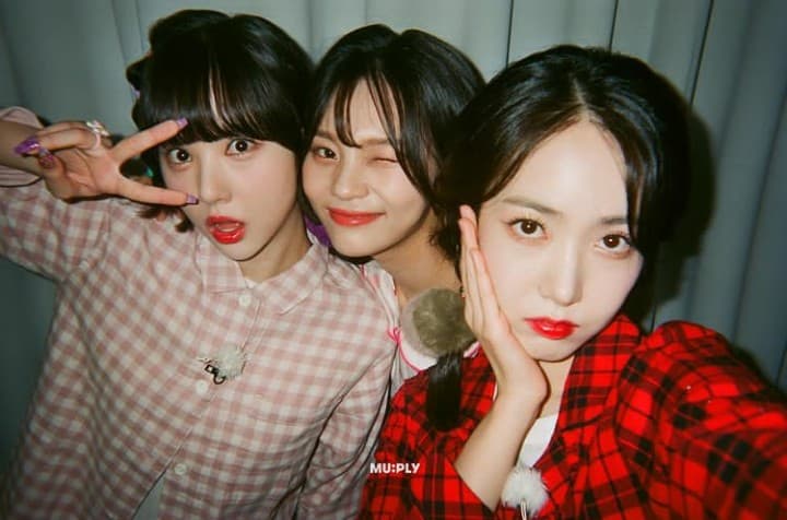 Image Source_FaceBook|lvlz8Vivizunofficial