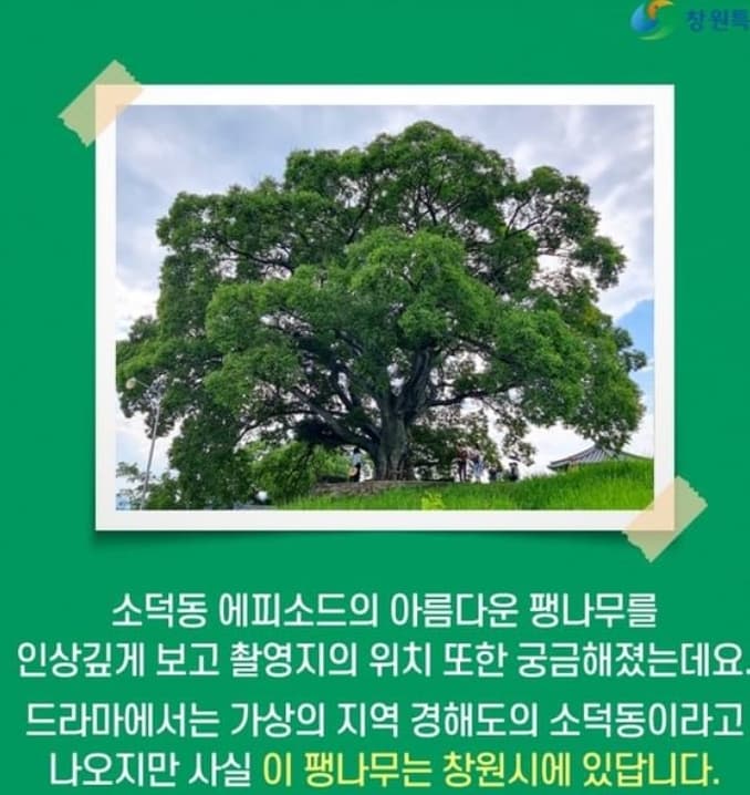 Image Source_Instagram |changwon_city