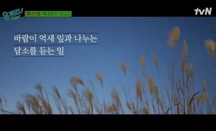 Image Source | Youtube Video Source | 유 퀴즈 온 더 튜브 截圖