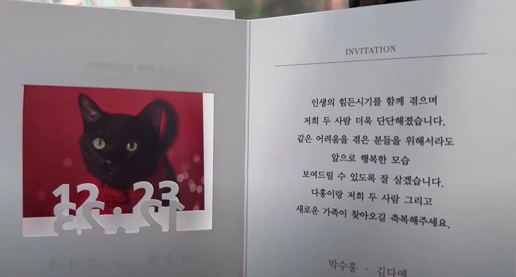 Image source_ YouTube | 검은고양이 다홍 Blackcat Dahong