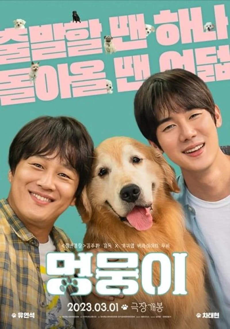 Image Source |키다리스튜디오