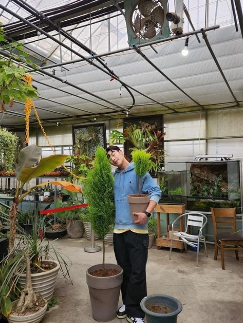 Image Source Instagram|wdohwan