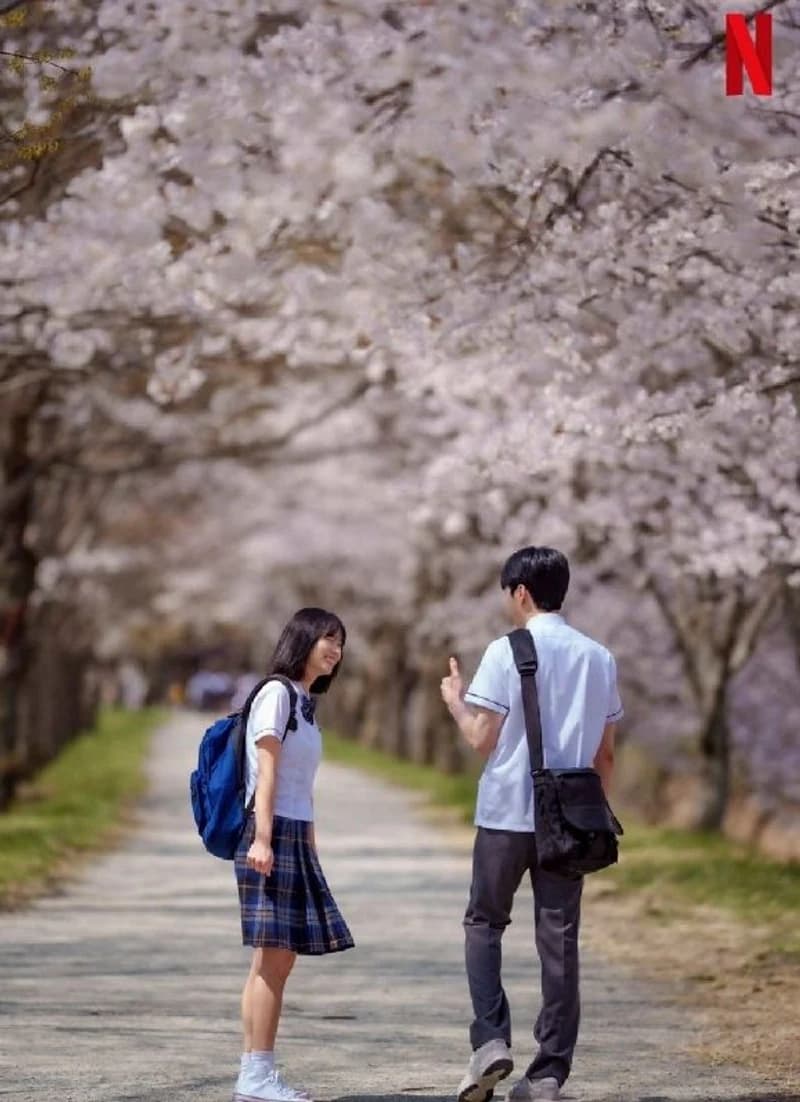 Image Source l netflixkr
