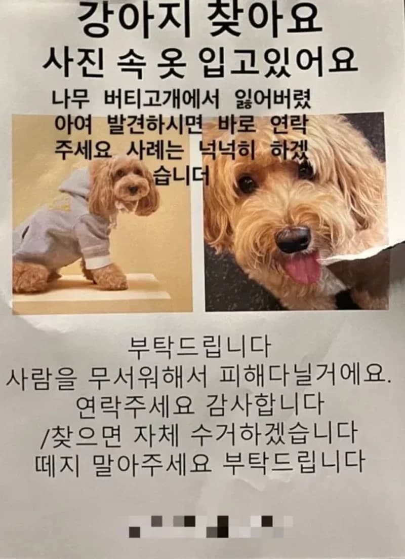 Image Source l kyo1122 IG