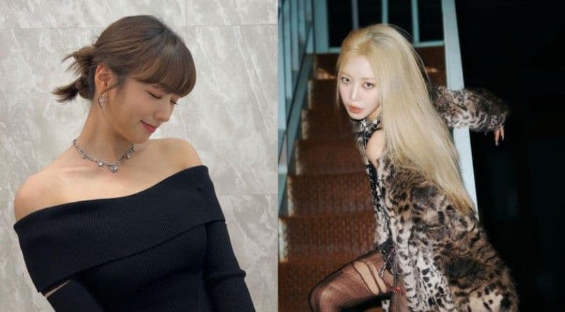 Apink金南珠上節目宣傳新專輯!普美傳來應援簡訊竟是「這個」?!網笑:果然是普美XD