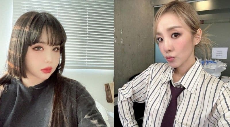 Dara為2NE1時期錯過很多男性追求而惋惜!主持人承諾:會為Dara朴春安排驚喜相親