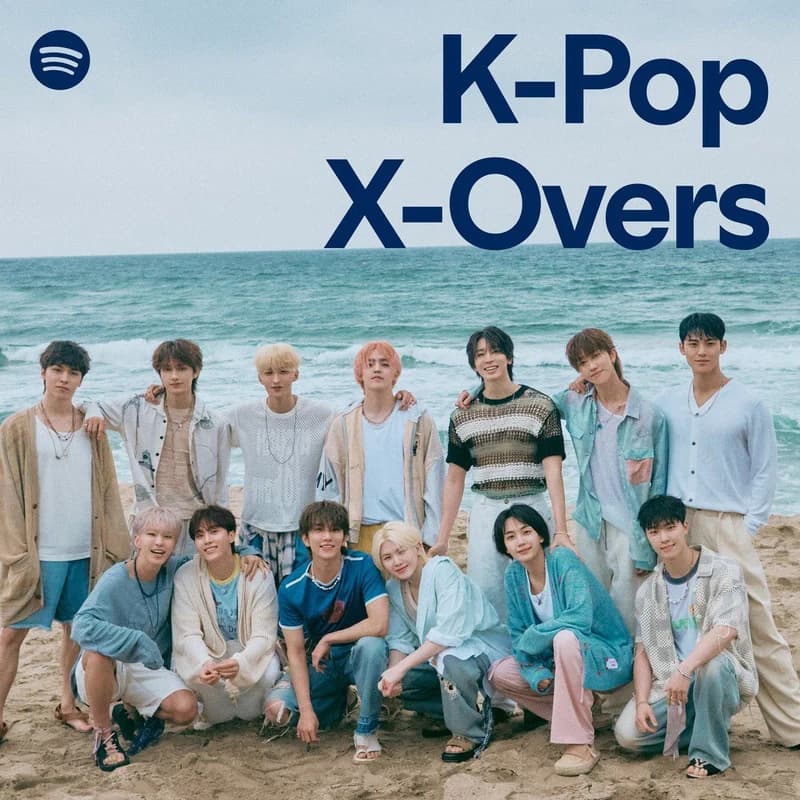 Image Source:X | pledis_17