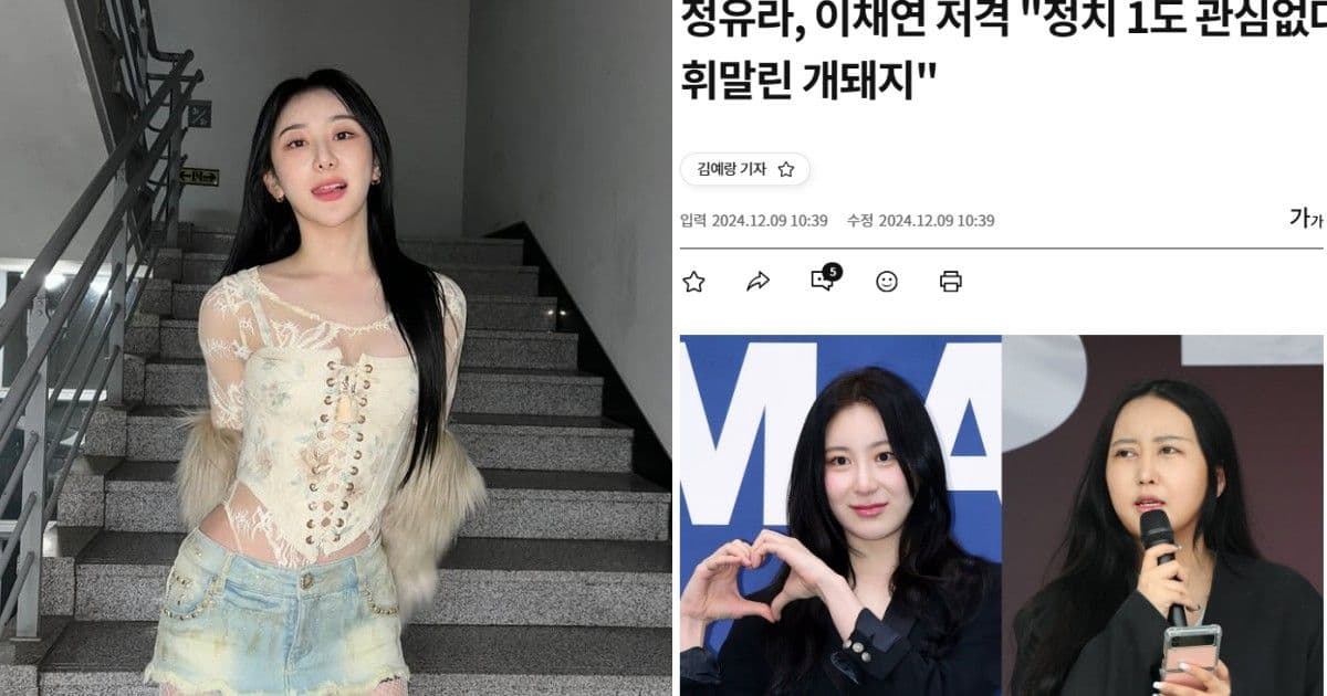 別裝腔作勢→被煽動的豬狗!李彩演因「彈劾尹錫悅」慘遭朴槿惠親信崔順實女兒爆粗口抨擊