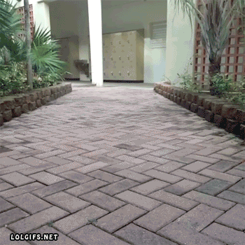 Giphy.com