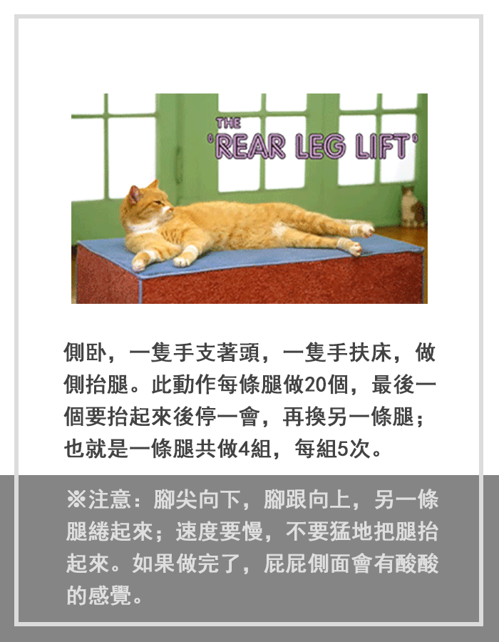 Giphy.com