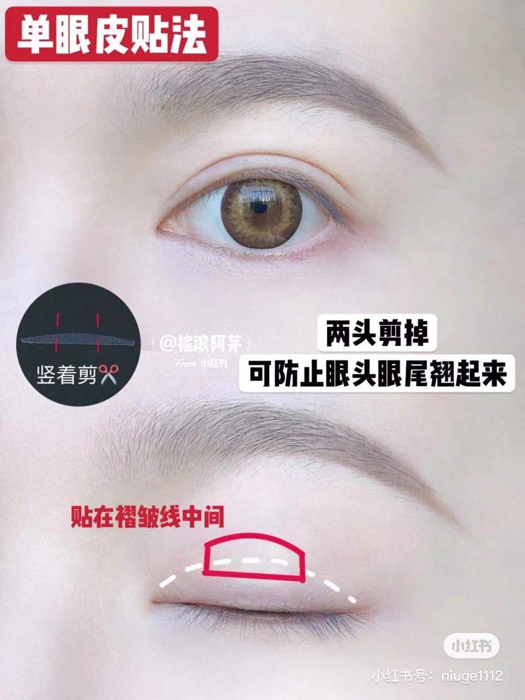 摇滚阿茅 小紅書