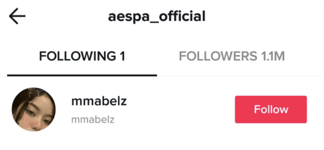 Image Source tiktok | aespa official