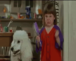 Image Source | giphy