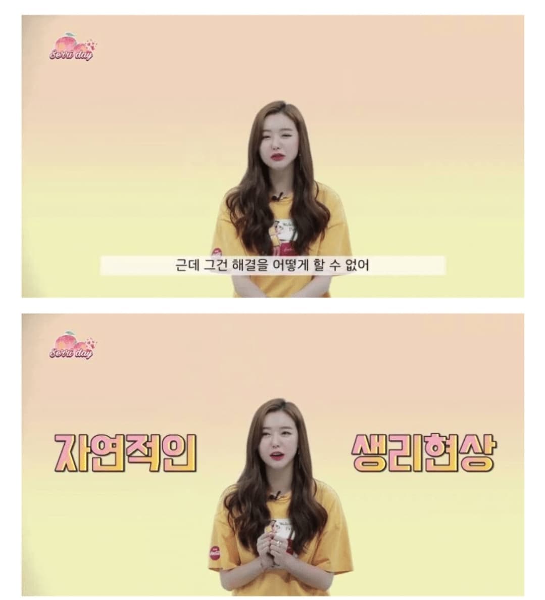 Youtube | 세리데이