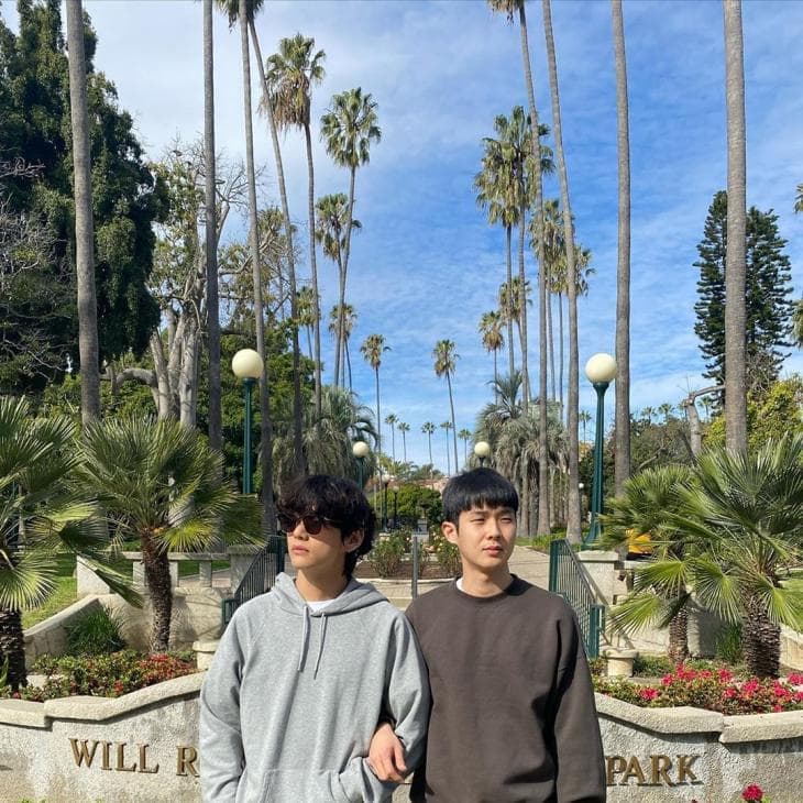 instagram | dntlrdl