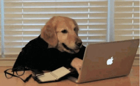 Image Source | GIPHY
