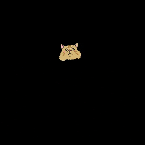 Image Source_giphy