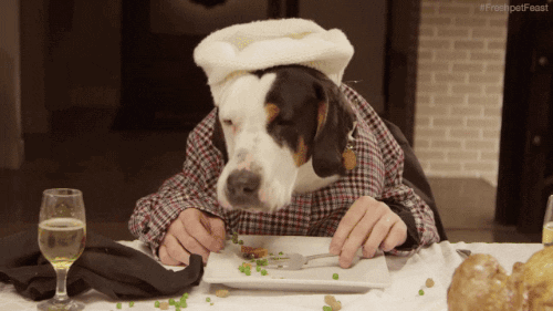 Image Source | Giphy