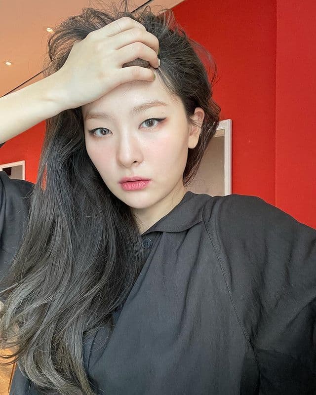 instagram |hi_sseulgi