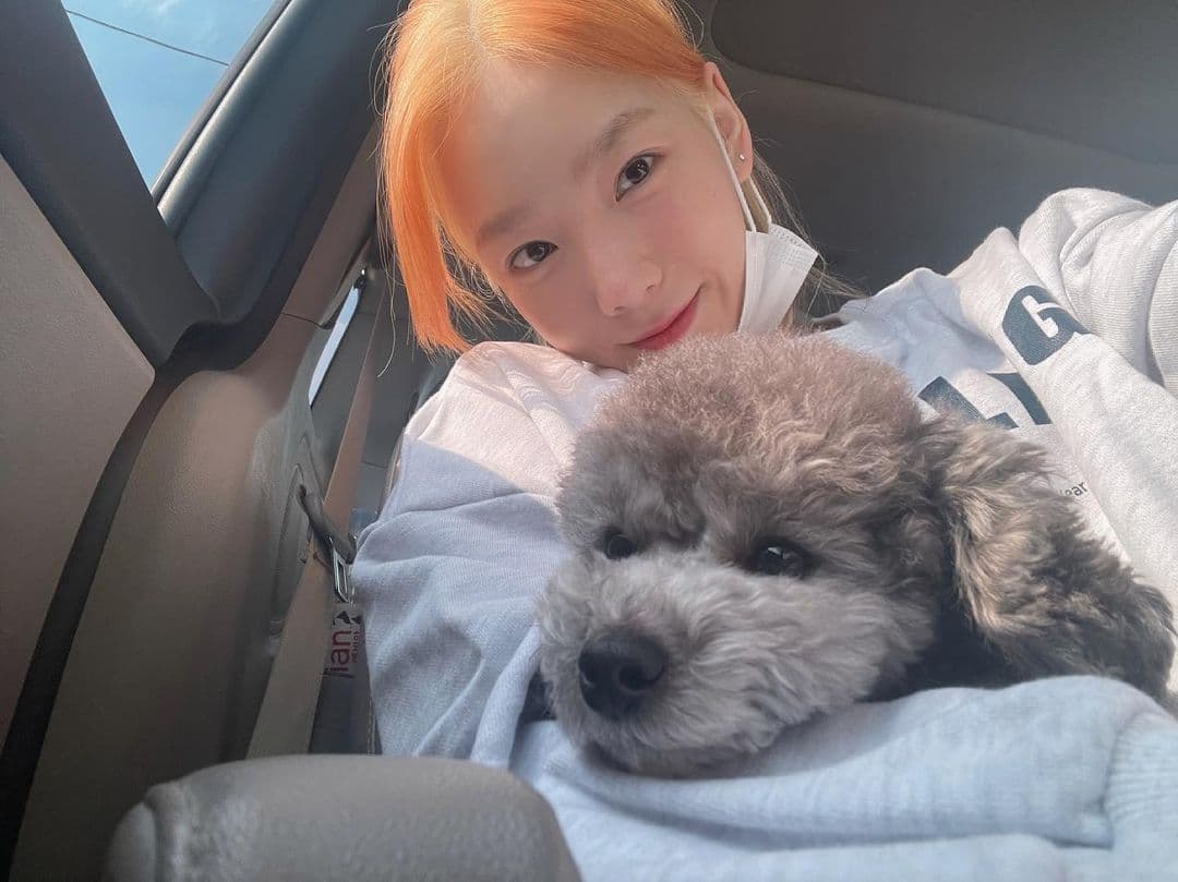 Image Source_Instagram | taeyeon_ss/