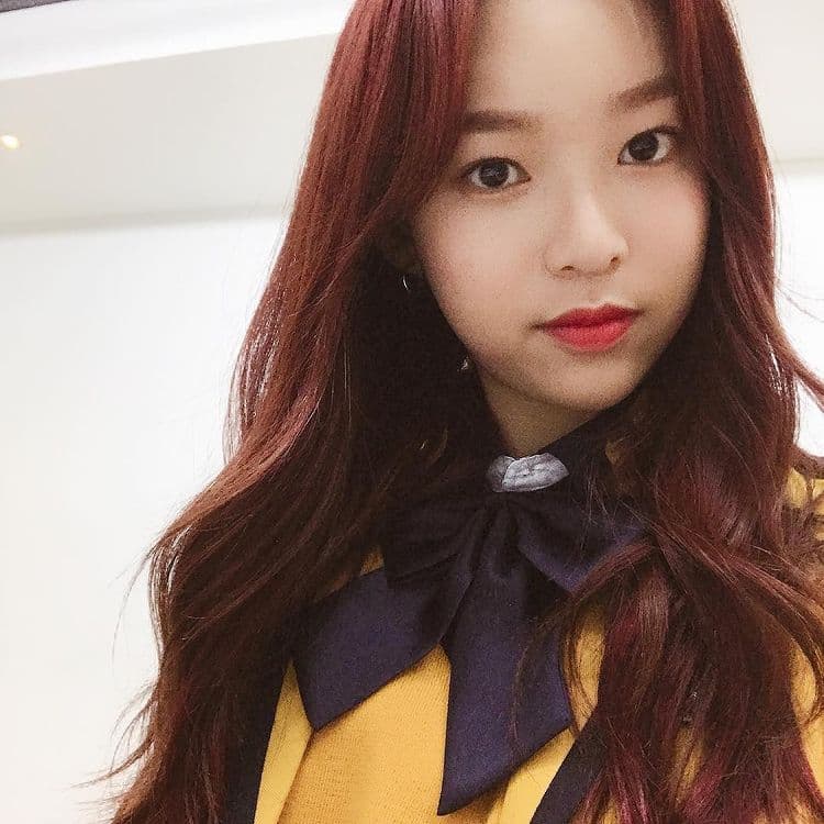 Image Source_Instagram | sheepyn_0824
