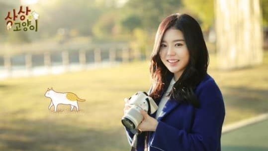 Image Source : 상상고양이