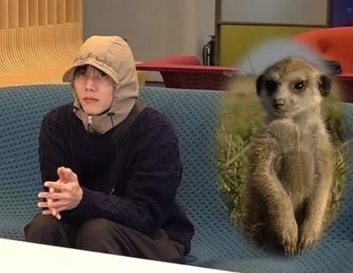Image Source : 온라인 커뮤니티