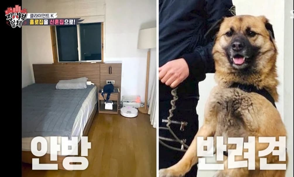 Image Source : 온라인 커뮤니티