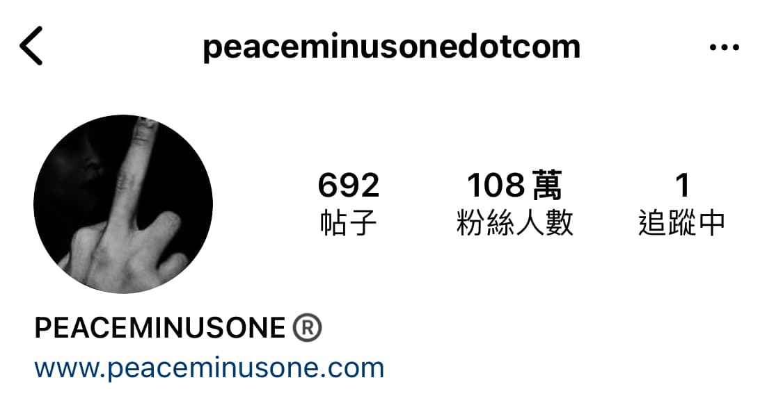 Image Source :Instagram | peaceminusonedotcom