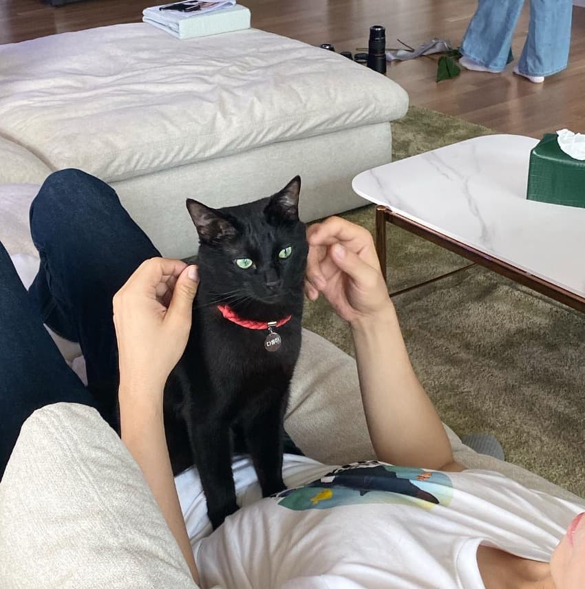 Image source_ Instagram | blackcatdahong