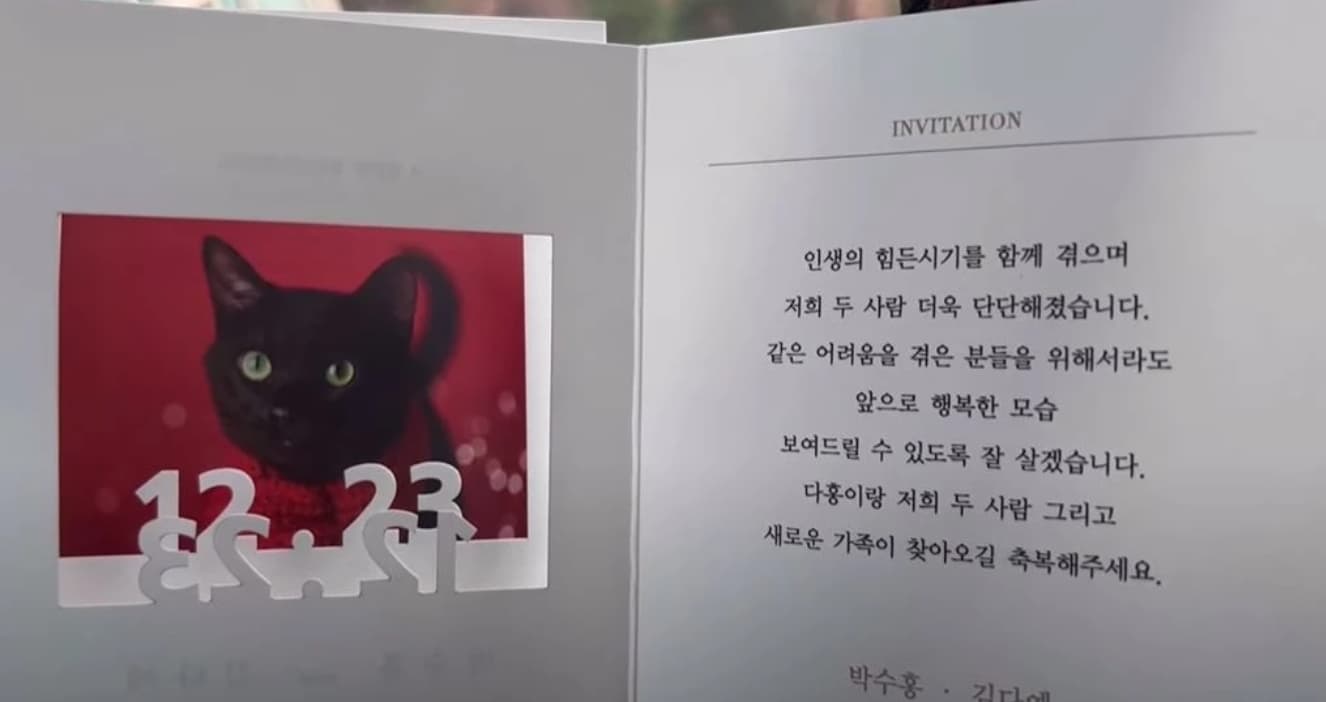 Image source_ YouTube | 검은고양이 다홍