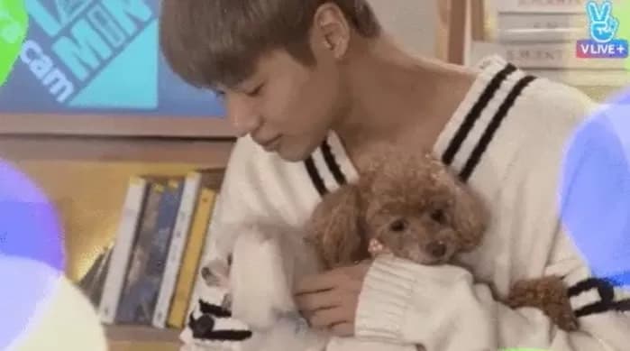 Image Source| V Live +