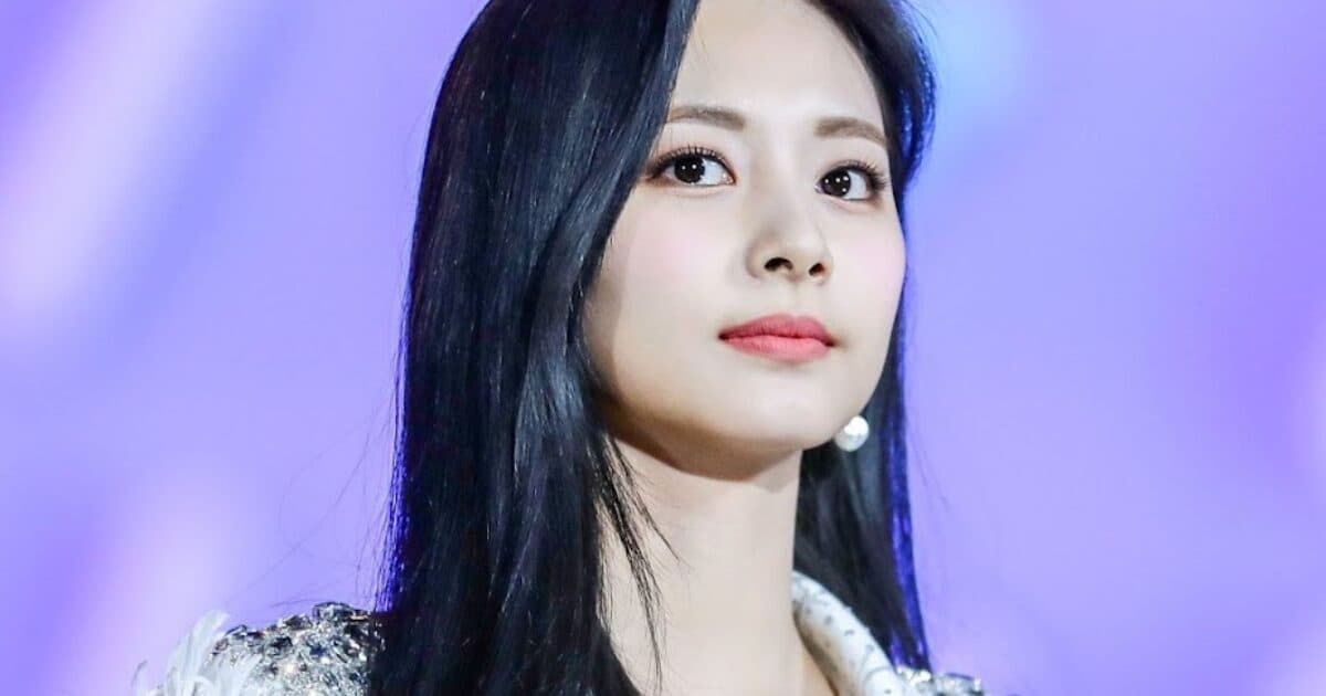TWICE活動仍有望繼續