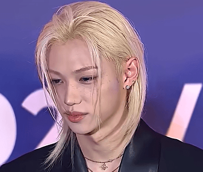 韓娛熱議-Stray Kids Felix紅毯表情不對勁!真相曝光粉震驚:他太在意了
